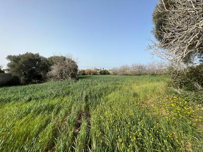 Residencial en venda en Conil de la Frontera