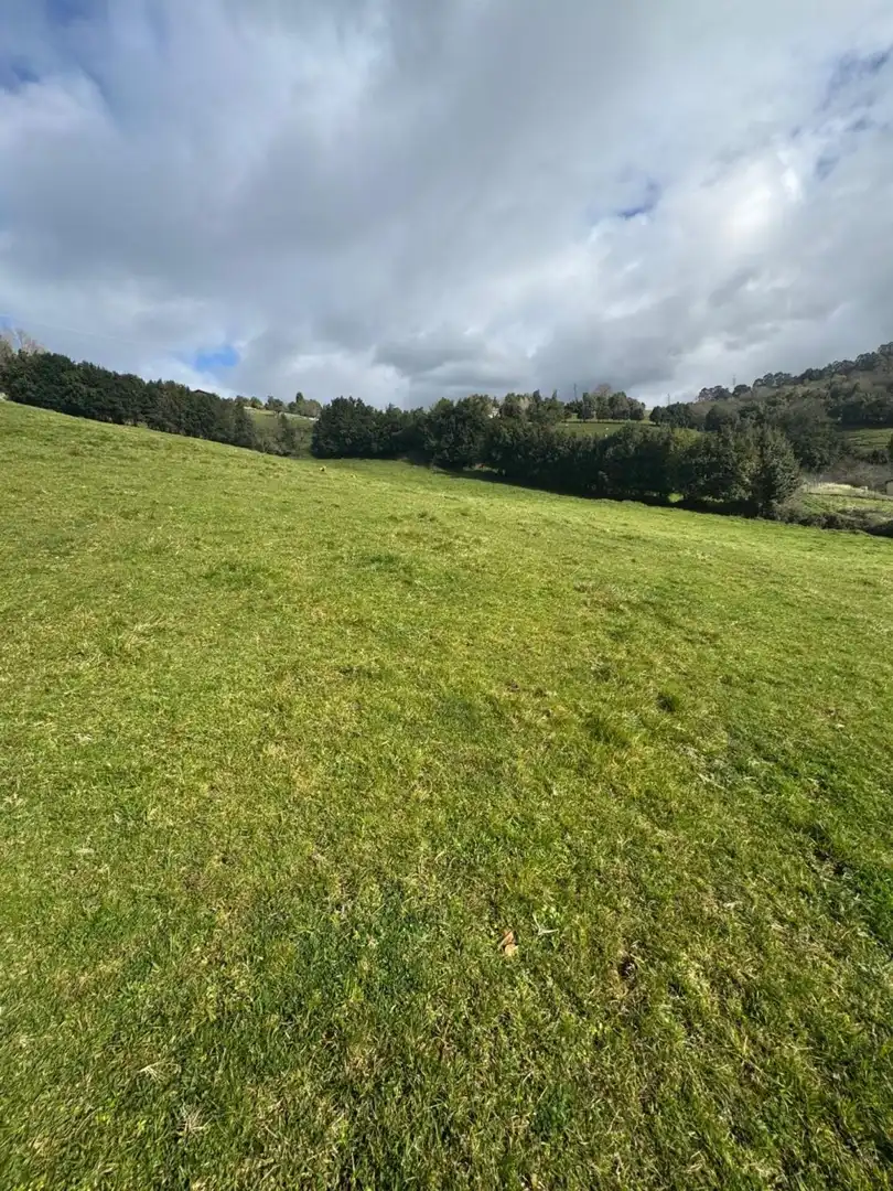 Terreny residencial en venda a Rural, imagen 6