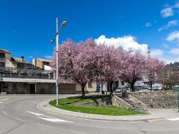 Résidentiel à vendre à Casco Urbano