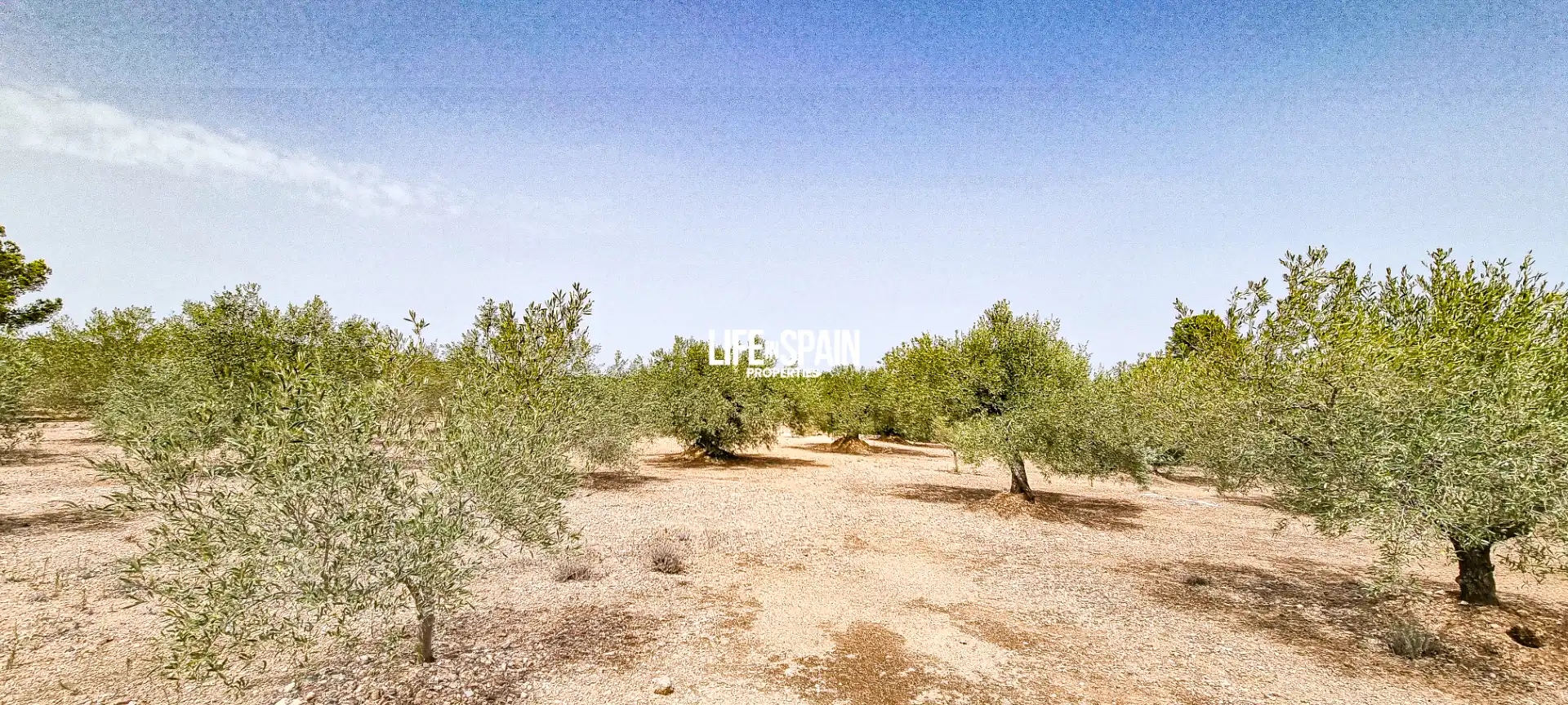 Casa rústica con jardín en venta en L'Ampolla, imagen 11