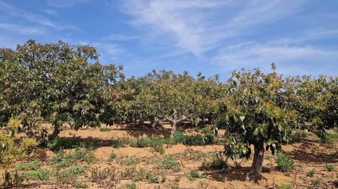 Photo 3 of Country homes for sale in Lobres, Salobreña