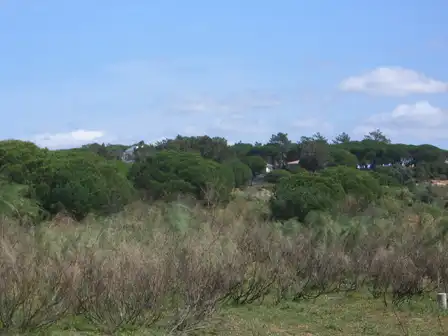 Residential for sale in El Rompido