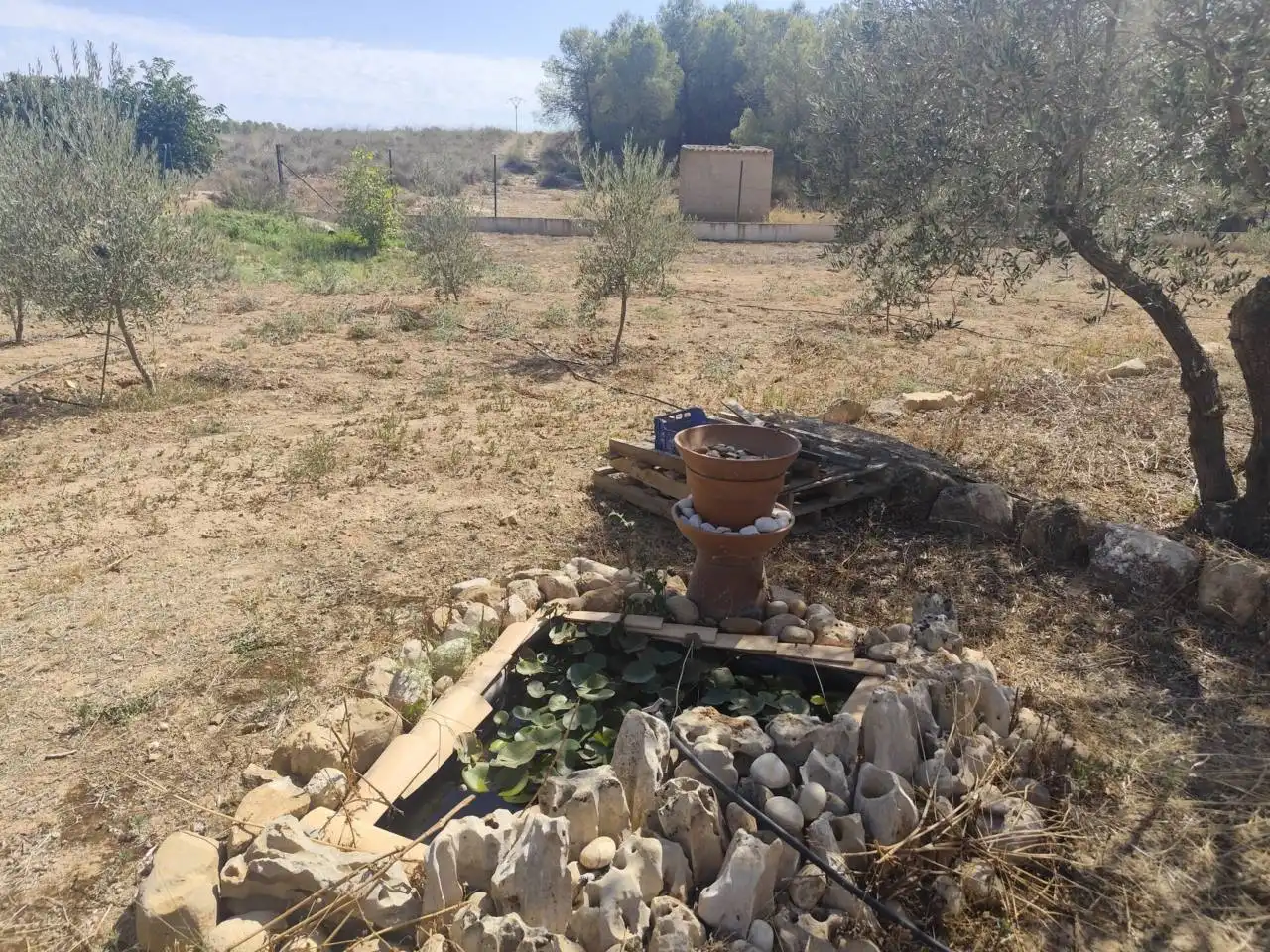 House with garden for sale in Calle UMBRIA DE AGRA, imagen 6