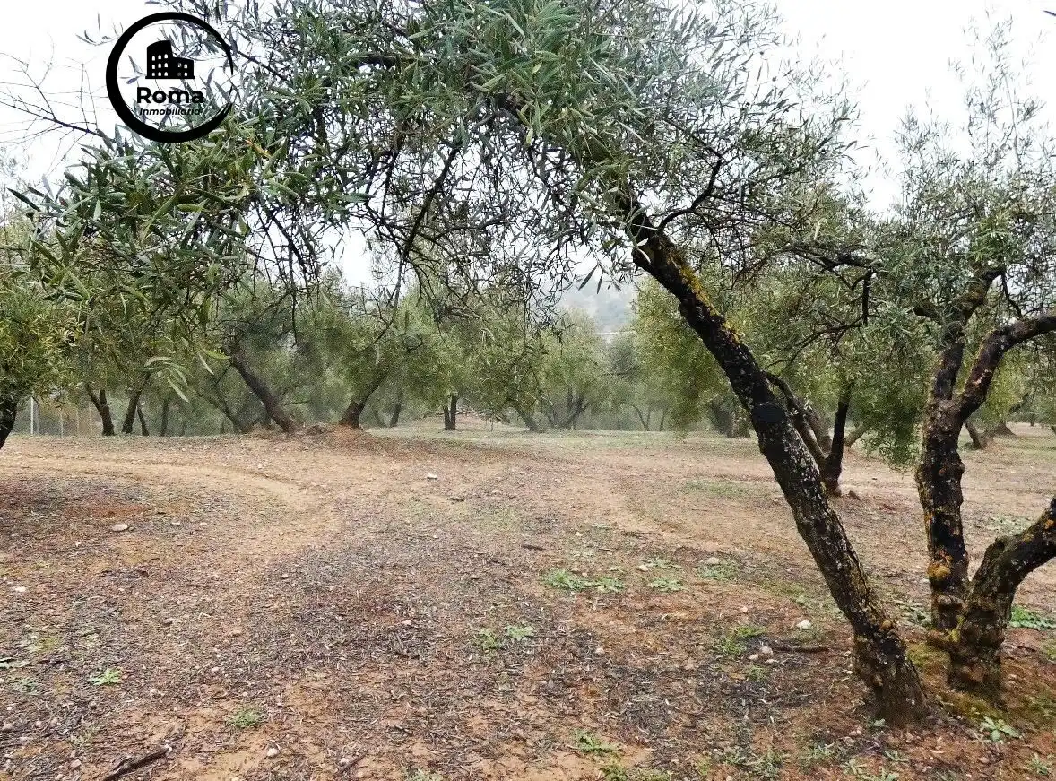 Terrain rustique à vendre à Peligros, imagen 6
