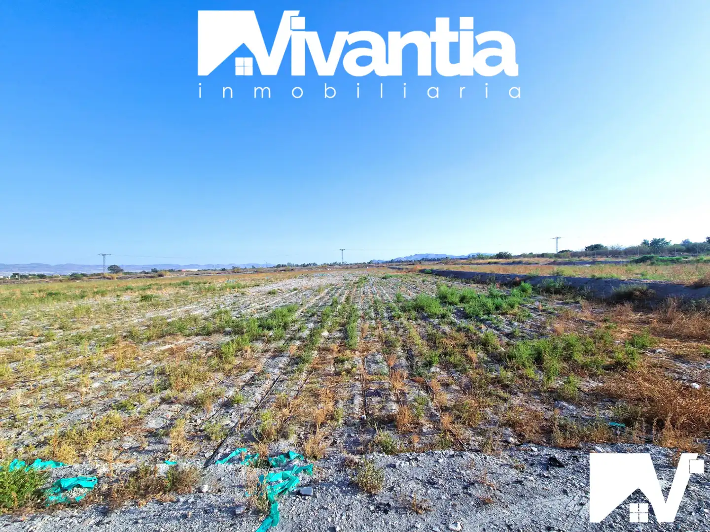 Terreni e lotti in vendita a Diseminado Torrecilla 477