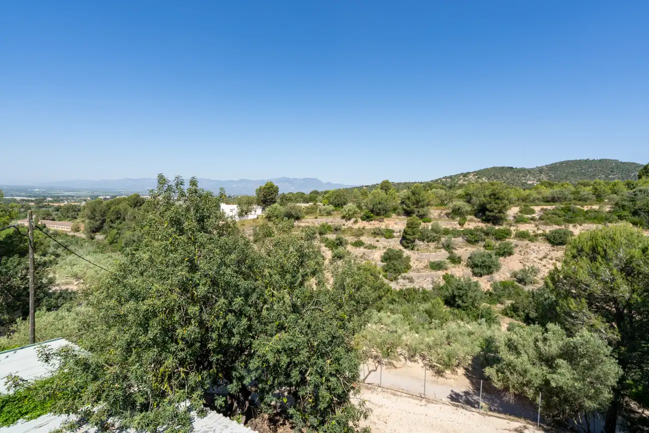 Villa à vendre à Partida S Lazaro 248, imagen 41