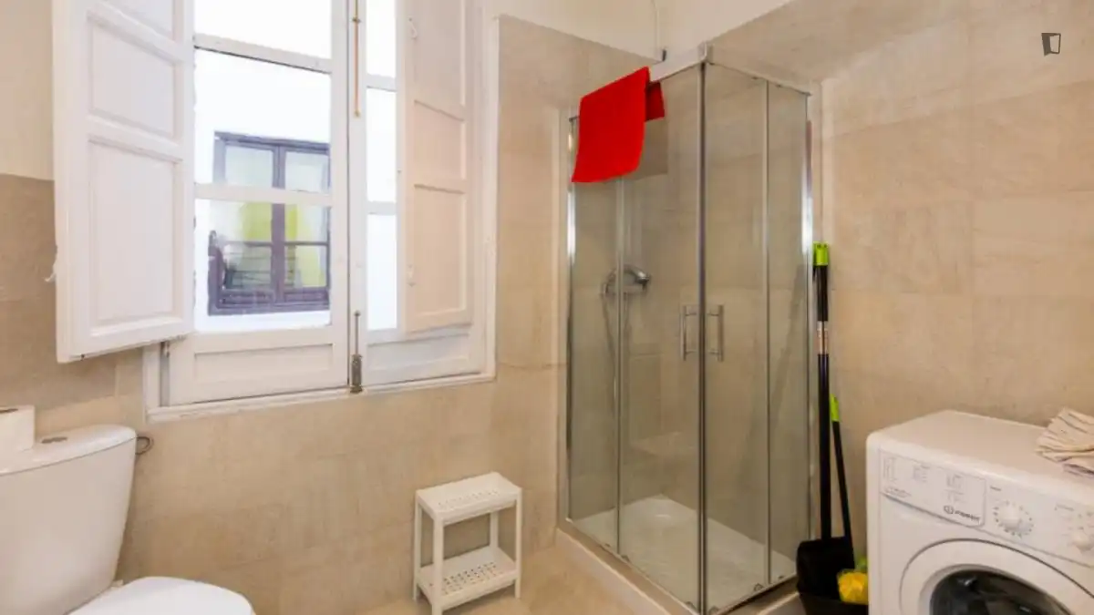 Wohnung zur Miete in San Matías - Realejo