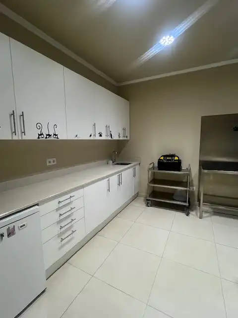 Casa con terrazza in vendita a Carrer Sant Joan 8, imagen 7
