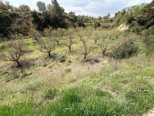 Terreno residencial en Venta en Benissoda