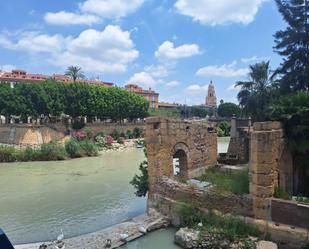 Garden of Flat to rent in  Murcia Capital  with Air Conditioner, Heating and Parquet flooring