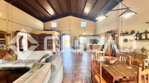 Foto 4 de Terreno en venta en Lebrija, Sevilla