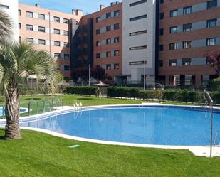 Swimming pool of Flat to rent in Valladolid Capital
