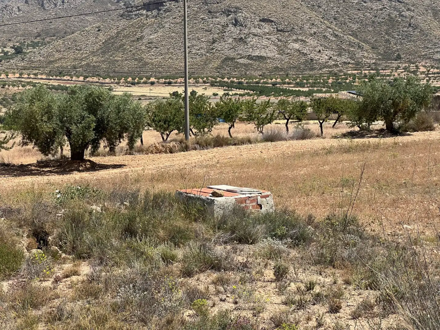 Rural land for sale in La Murada - Los Vicentes, imagen 3