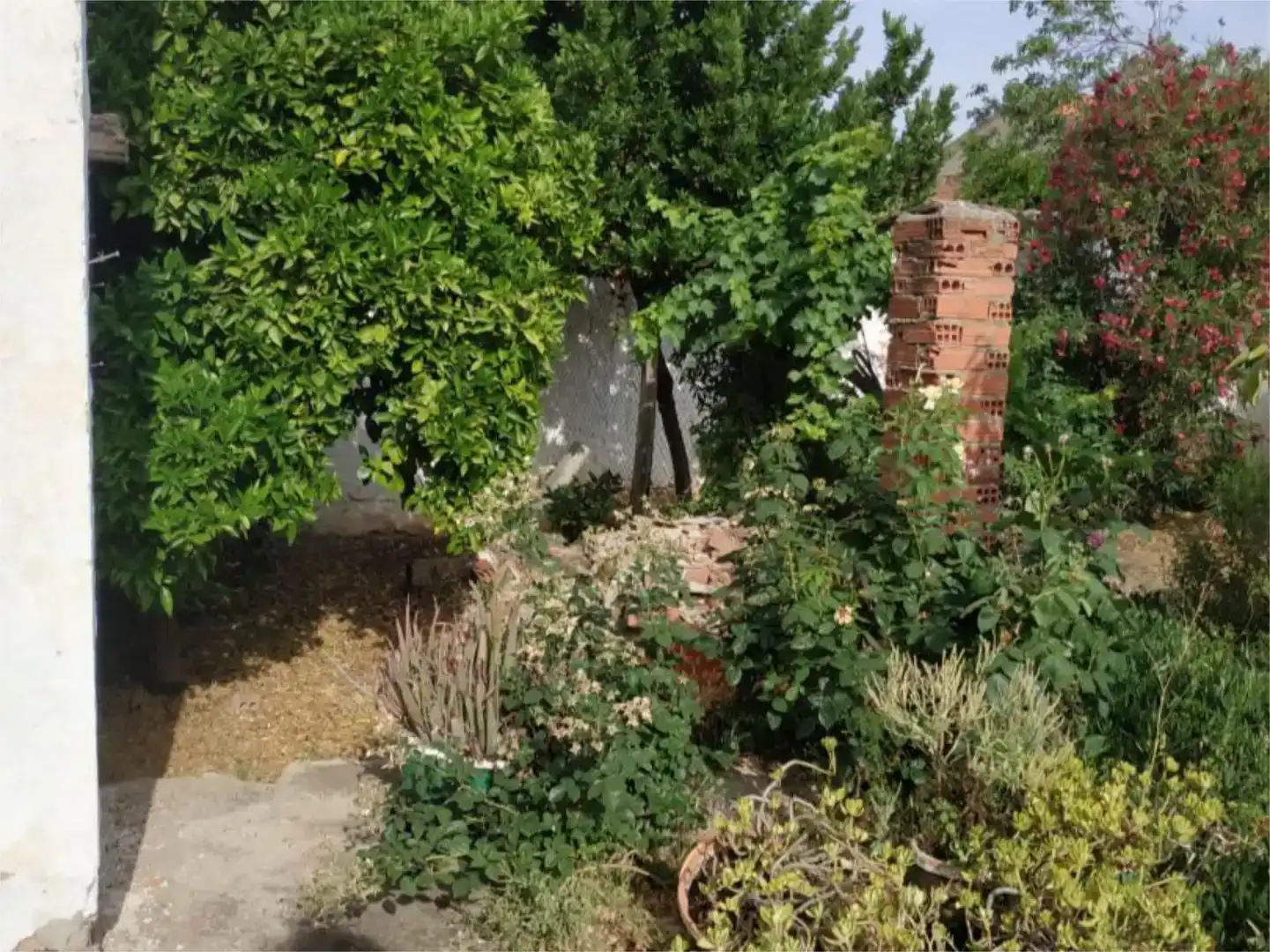 Planta baixa en venda en Bolaños de Calatrava amb Jardí privat, Traster i Moblat