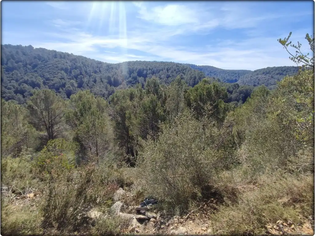 Residential for sale in La Font d'en Carròs