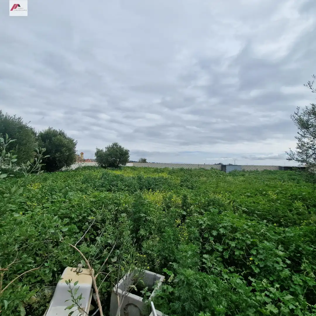 Rural land for sale in Ctra Sanlúcar - Cuatro Pinos, imagen 7