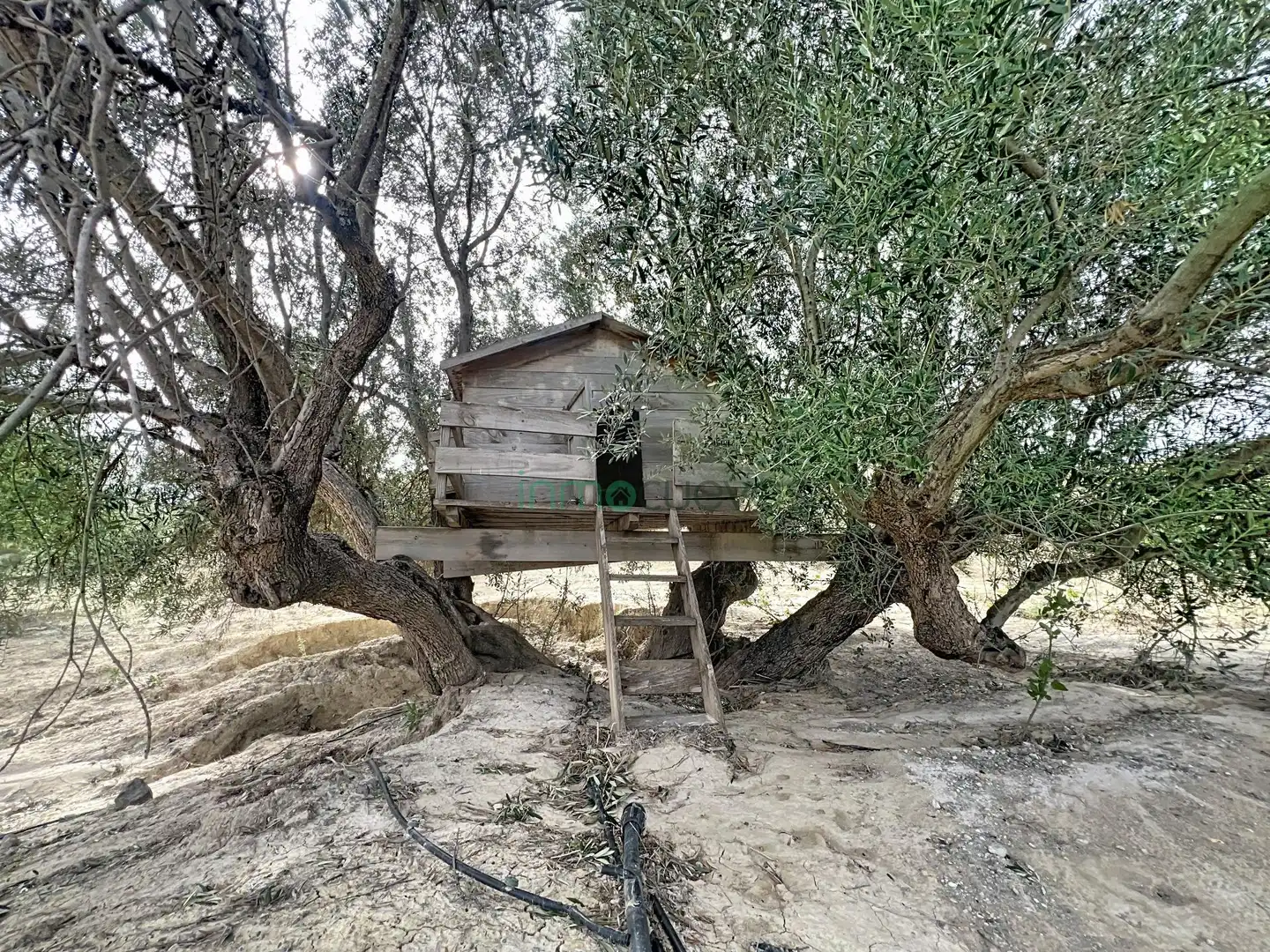 Landhaus mit Garten zum Verkauf in Las Cunas - La Algarrobina, imagen 17