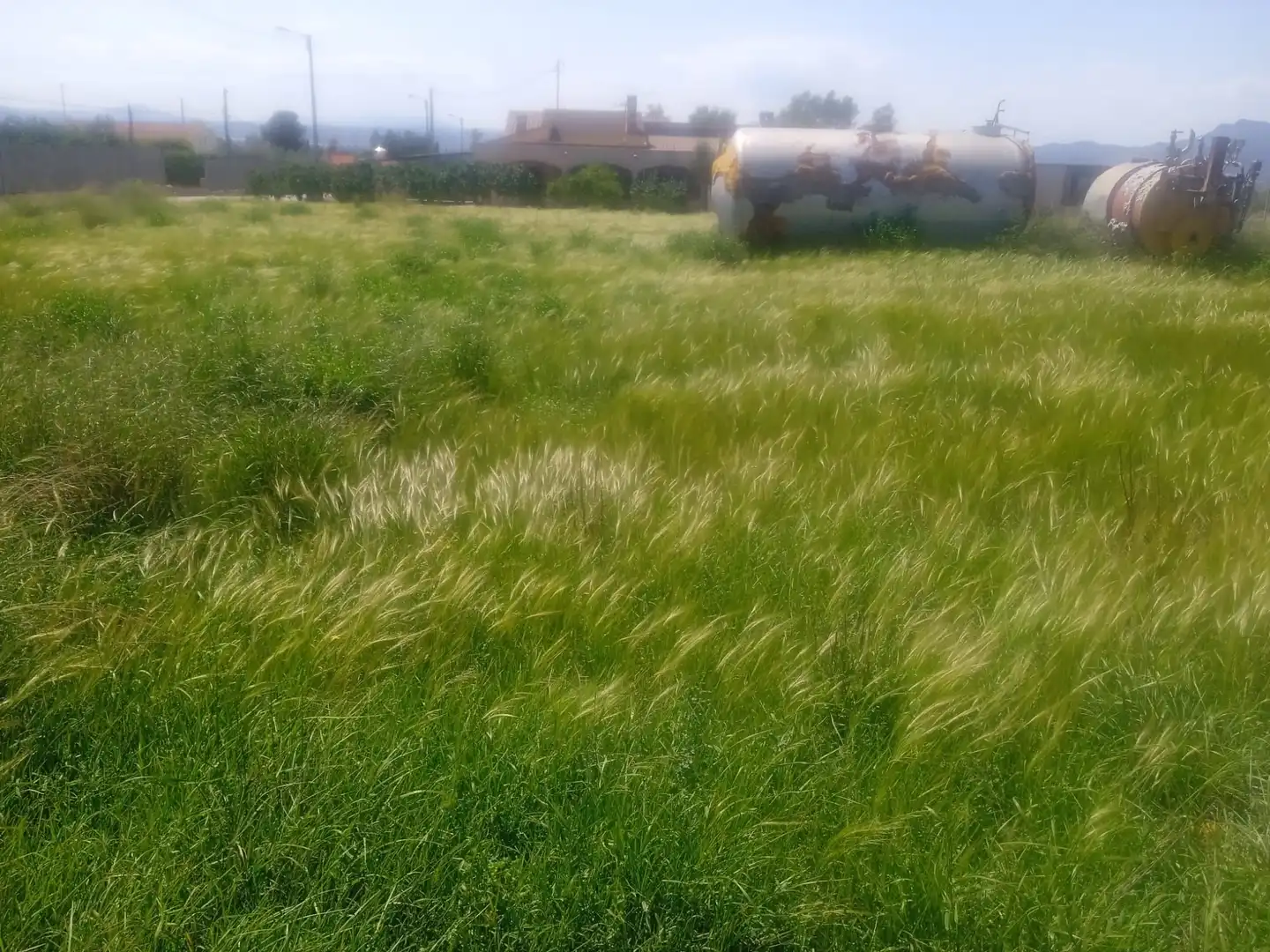 Terrain résidentiel à vendre à Pedanías Sur, imagen 2