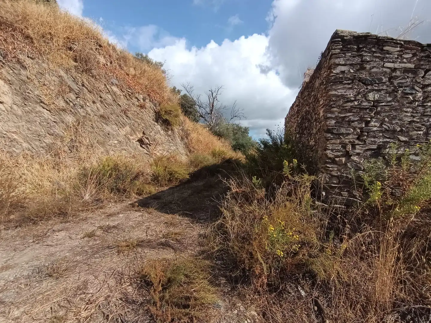 Terreni e lotti in vendita a Sedella, imagen 21