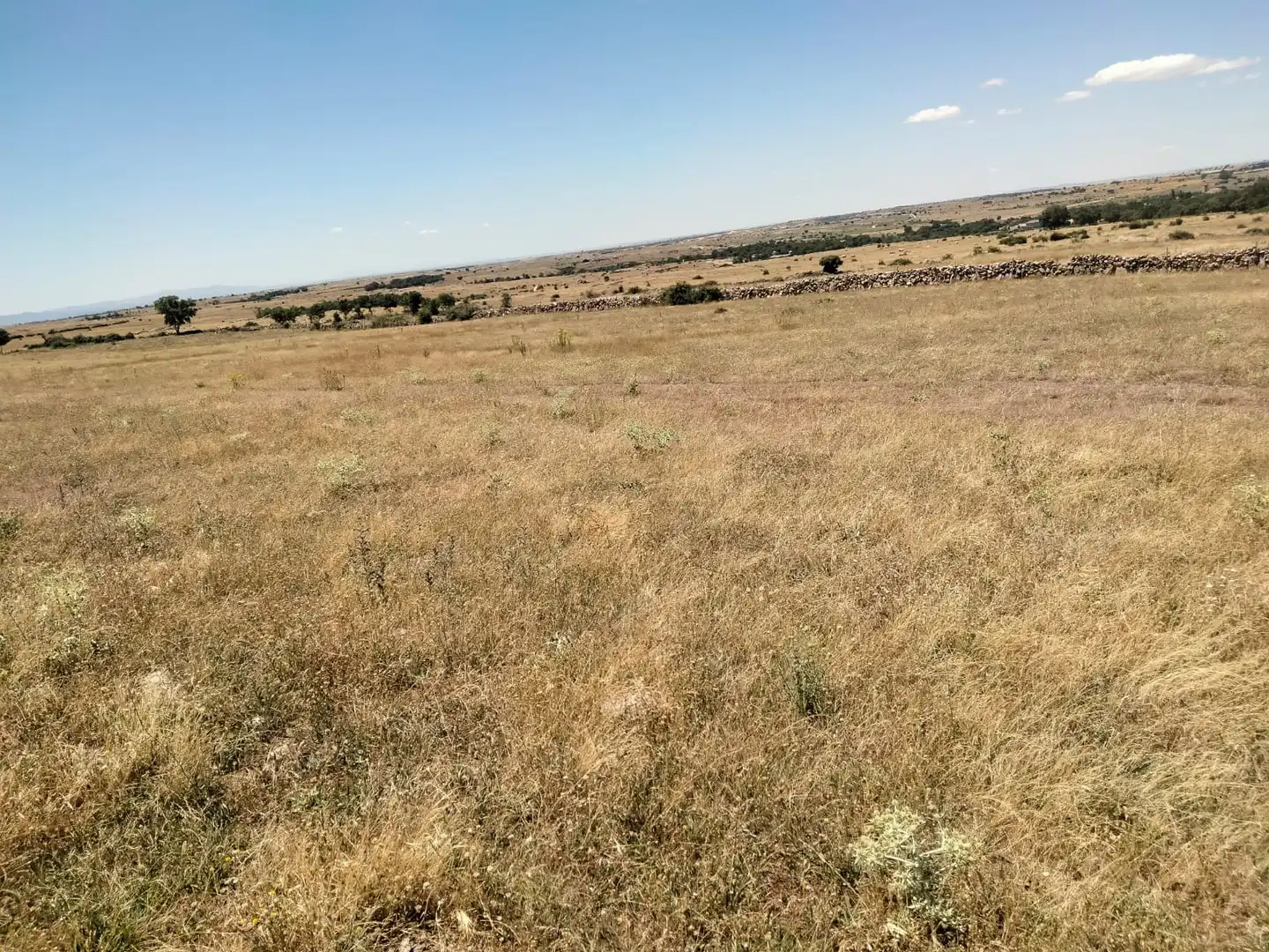 Terreno rustico in vendita a Basardilla, imagen 5