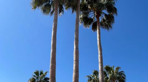 Photo 4 of Country house to rent in S'Horta - Cas Concos des Cavaller - Es Carritxó, Illes Balears