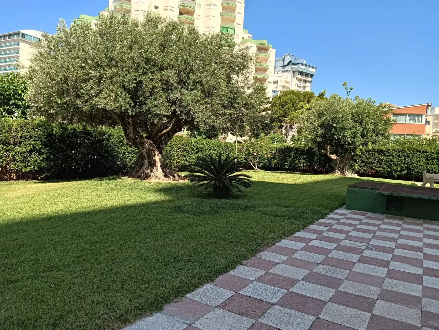 Mini appartamento con piscina in affitto a Playa de Gandia, imagen 5