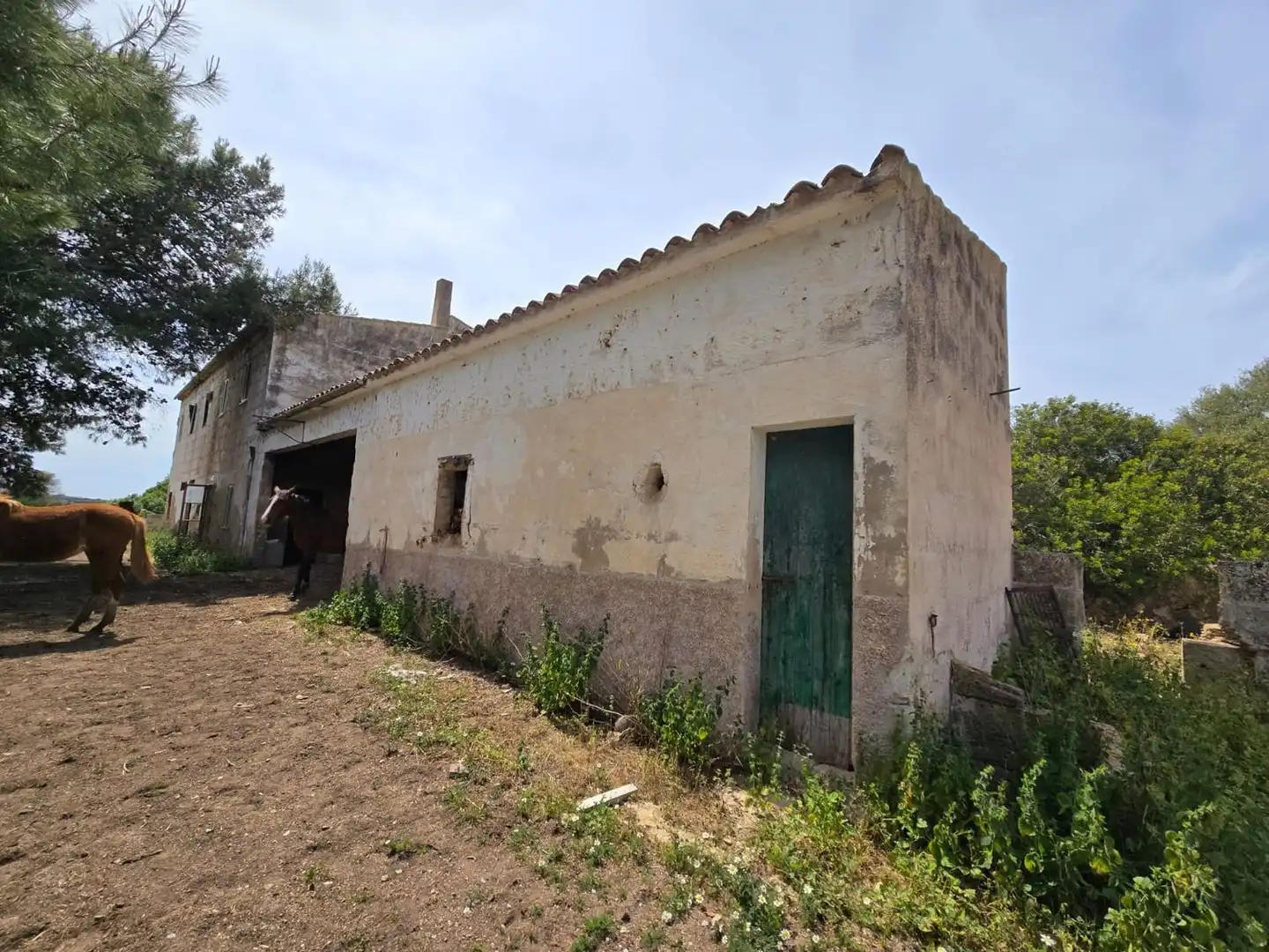 Vista exterior de Finca rústica en venta en  Palma de Mallorca con Jardín privado, Terraza y Trastero