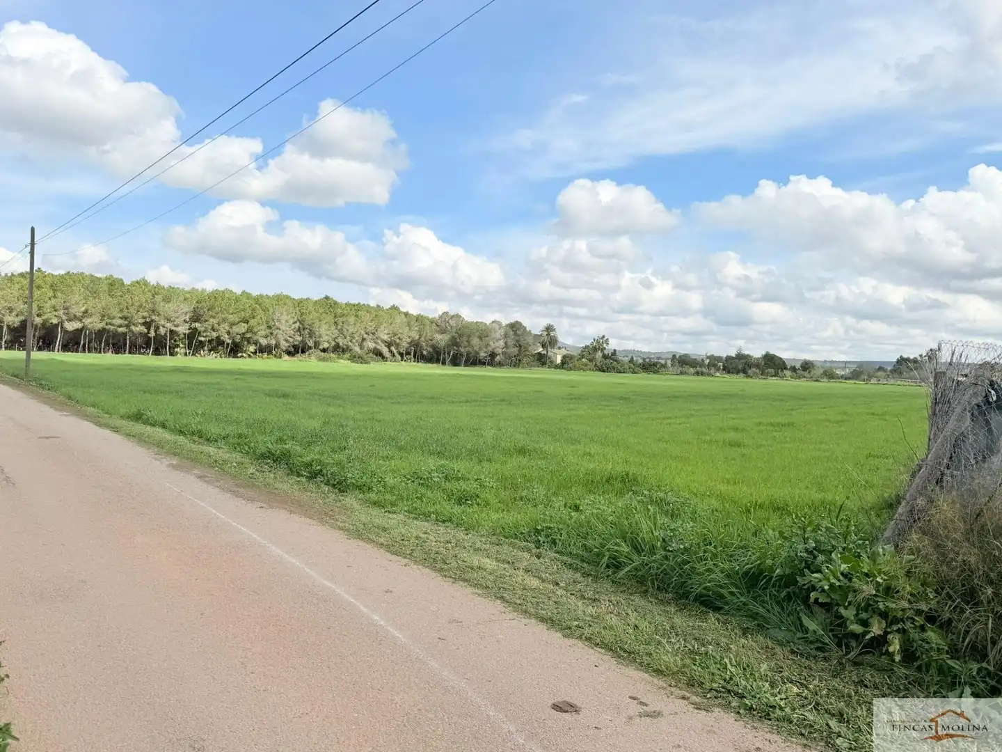 Country house for sale in Llevant, imagen 3