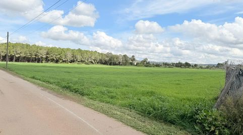 Foto 3 de Finca rústica en venta en Sa Casa Blanca, Palma de Mallorca