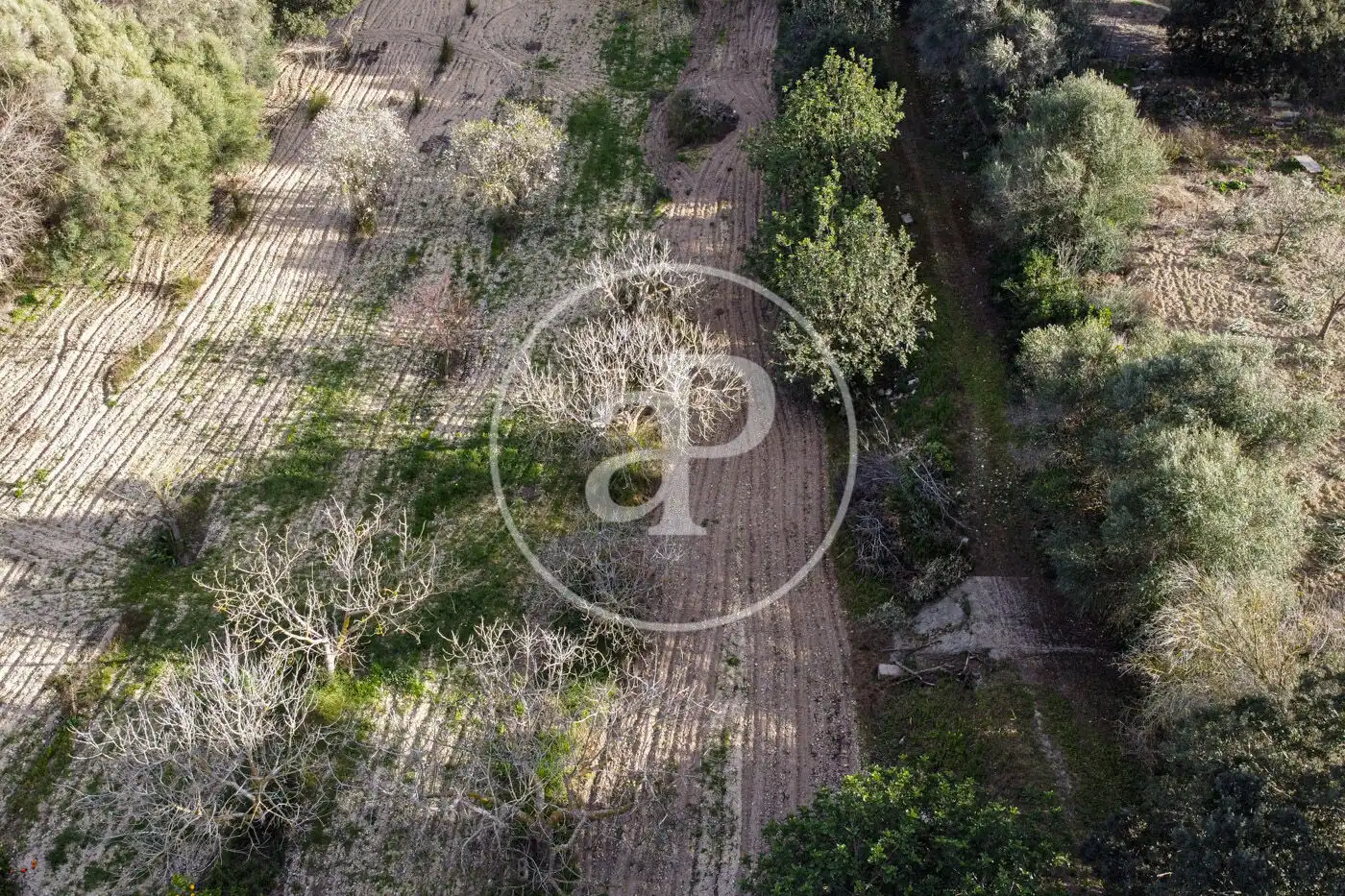 Residencial en venta en Santa Margalida