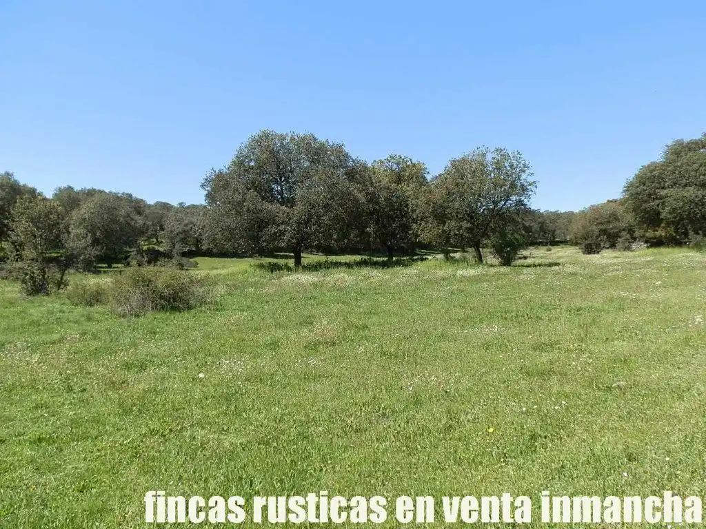 Terreno rustico in vendita a Ciudad Rodrigo, imagen 24