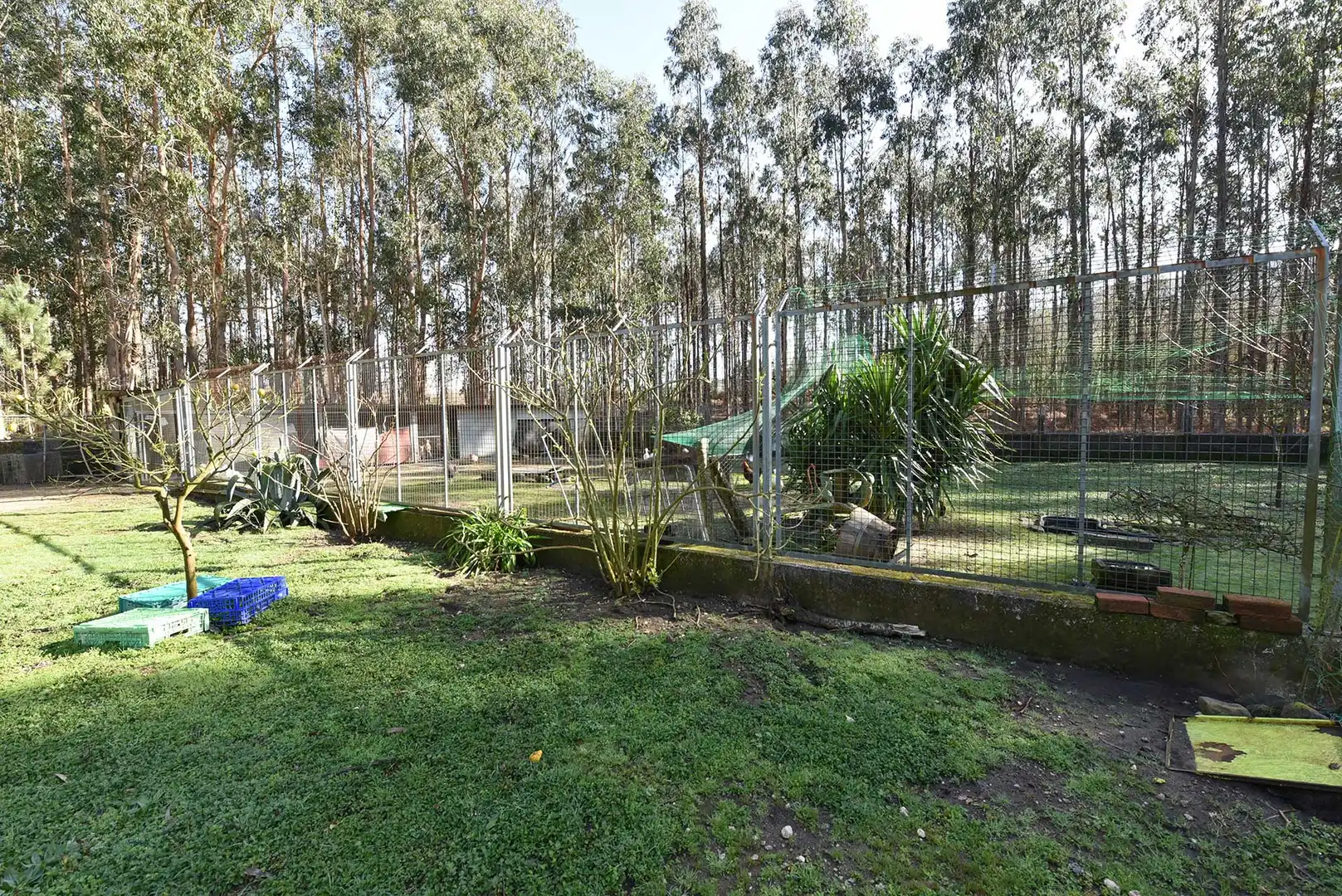 Jardín de Casa o chalet en venta en Cuntis con Jardín privado