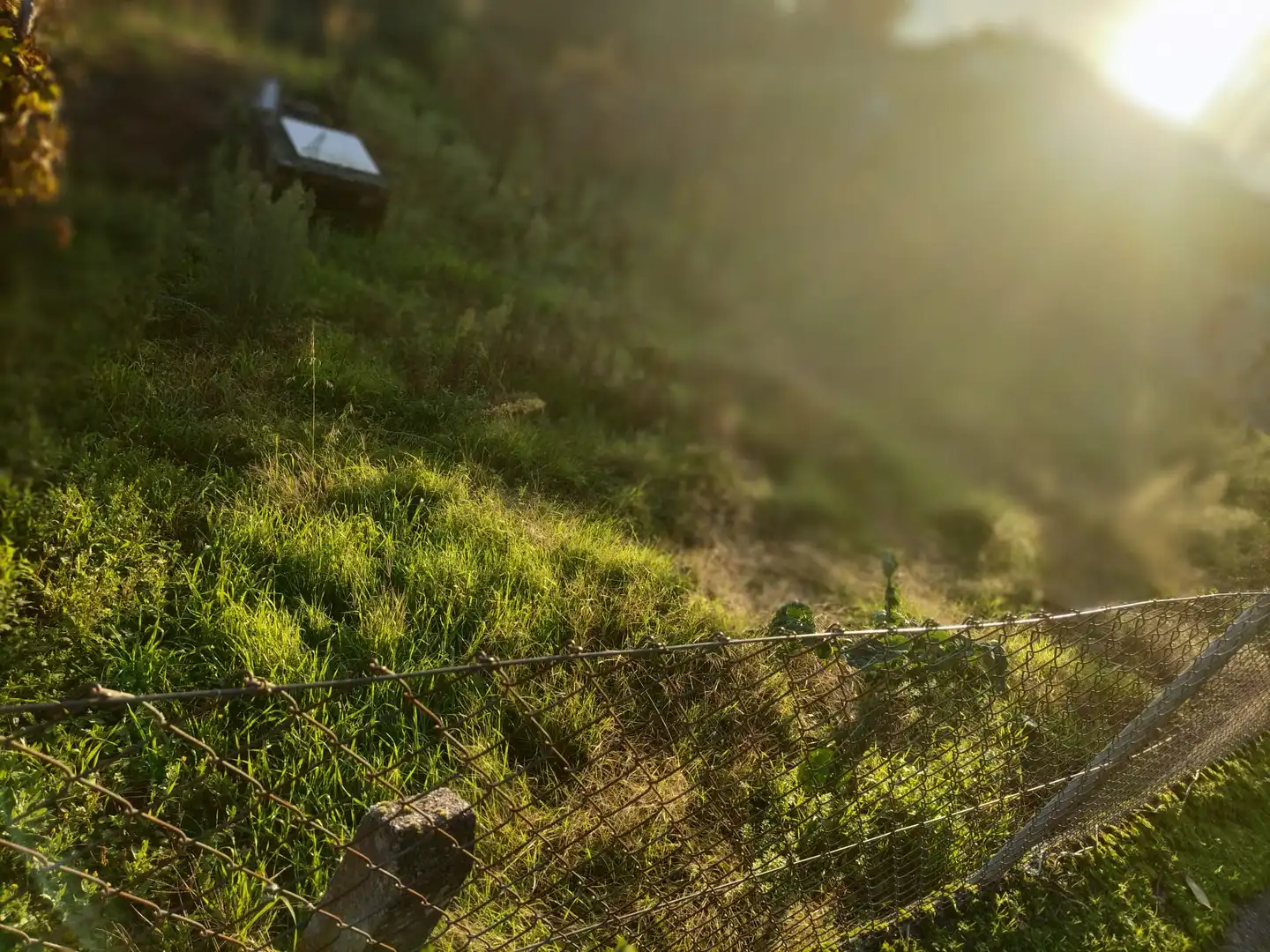 Jardín de Finca rústica en venta en Ourense Capital  con Jardín privado, Terraza y Balcón