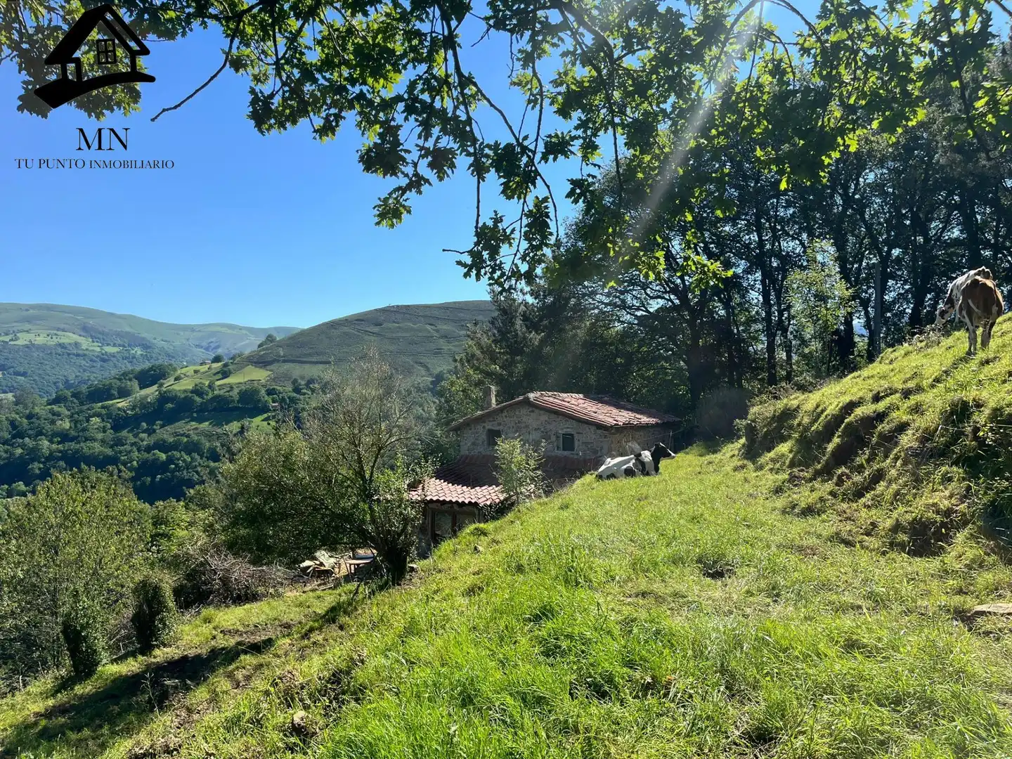 Casa rústica en venta en Selaya, imagen 34