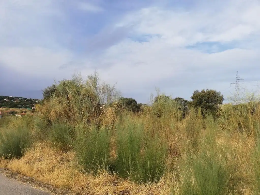 Terreni e lotti in vendita a Ur. Cerro Alberche, imagen 18