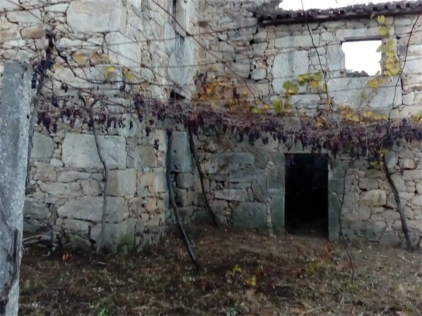 Vista exterior de Finca rústica en venta en Cuntis