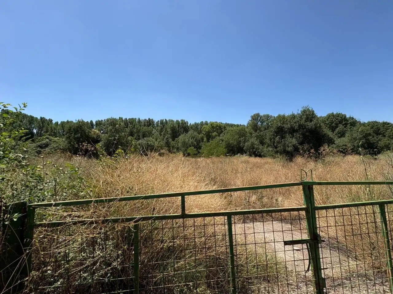Terreno rustico in vendita a Ciudad Rodrigo, imagen 6