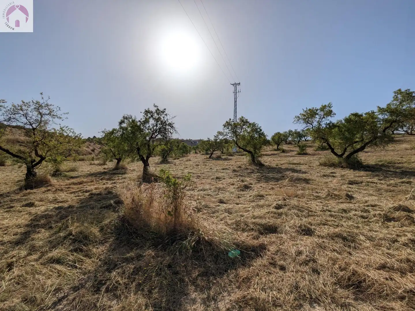 Residential land for sale in EXTRARRADIO, imagen 9