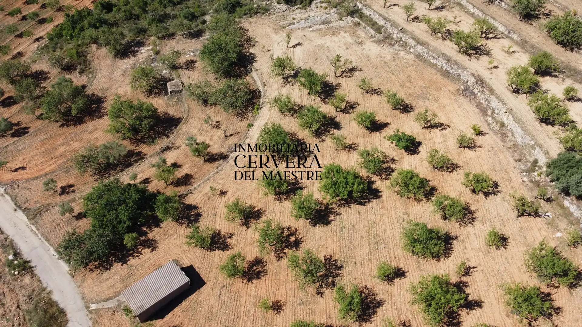 Rural land for sale in Cervera del Maestre