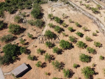 Rural land for sale in Cervera del Maestre