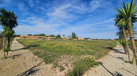 Foto 3 de Casa o chalet en venta en Valverde, Elche / Elx