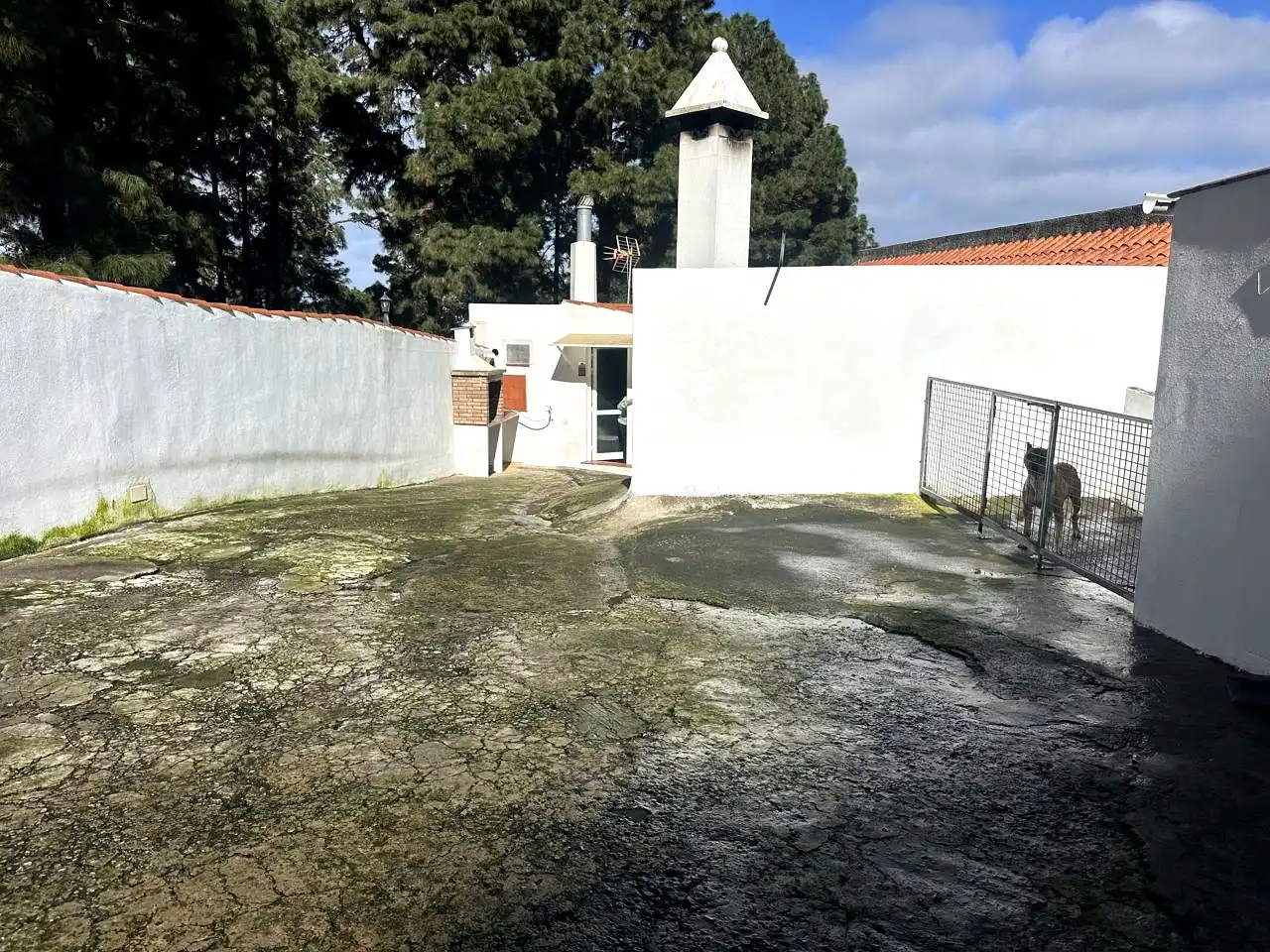 Casa con jardín en venta en La Vega - El Amparo - Cueva del Viento, imagen 31
