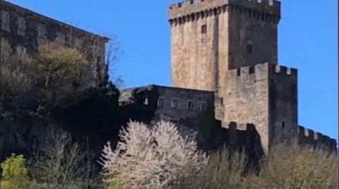 Foto 5 de Finca rústica en venda a Rúa Da Cerca, 9, Monforte de Lemos, Lugo