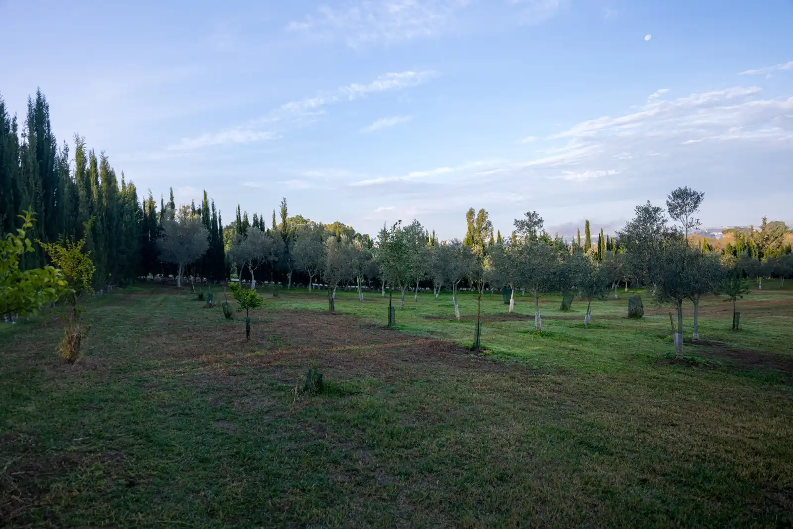 Finca rústica en venta en Jerez de la Frontera con Jardín privado