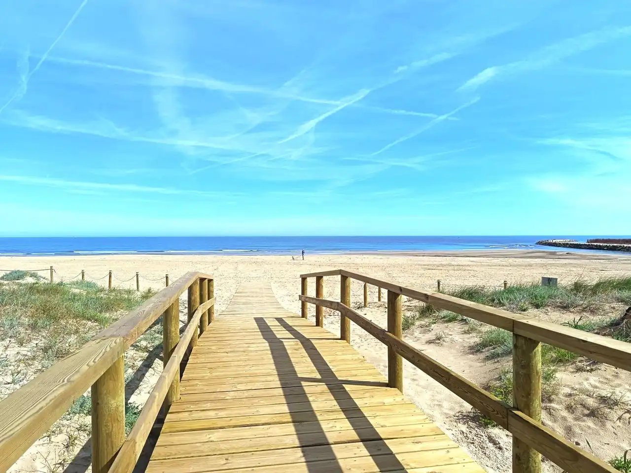 Exterior view of Houses for sale in Oliva