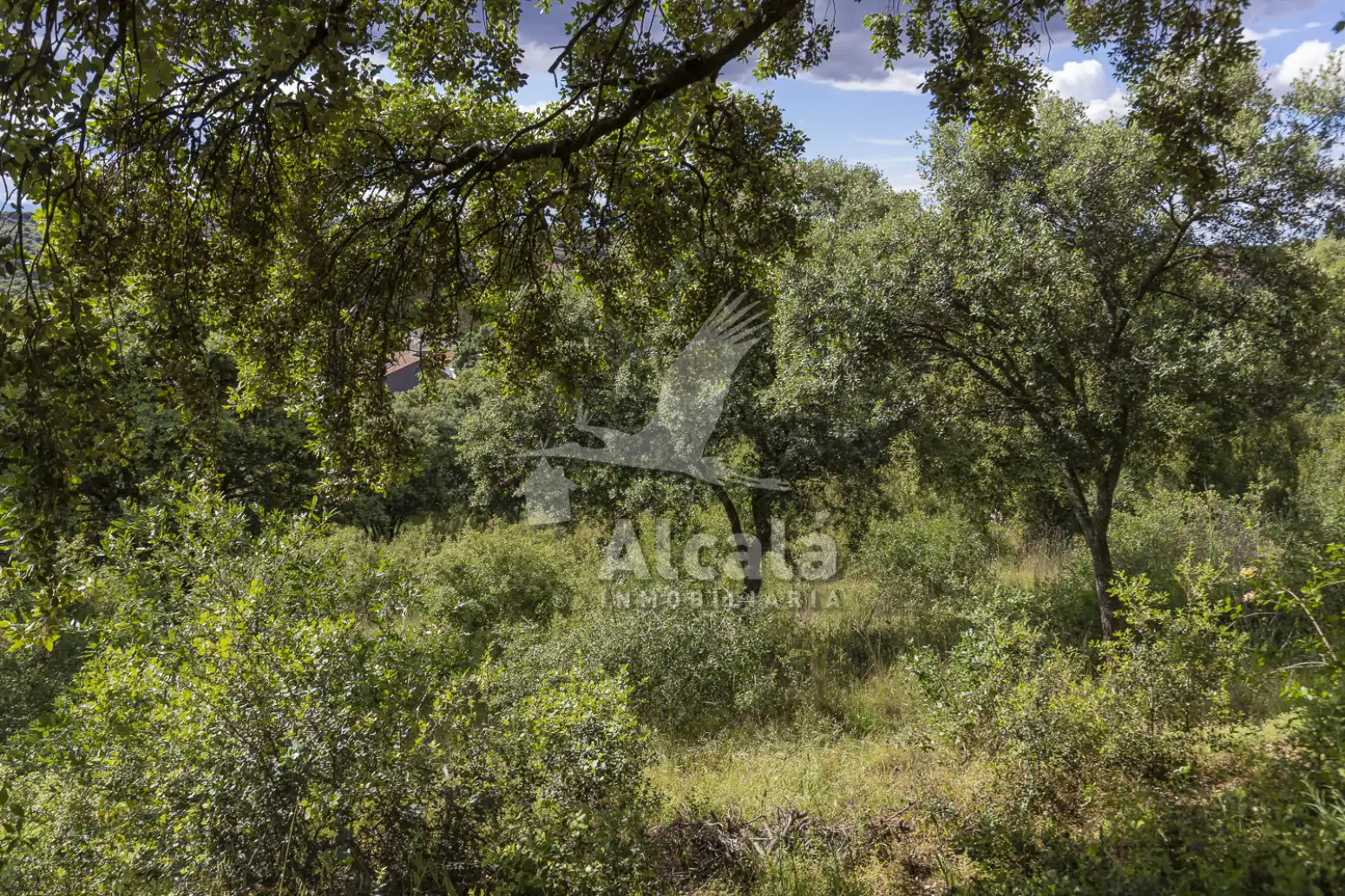Terreno residencial en venta en Valdeaveruelo, imagen 19
