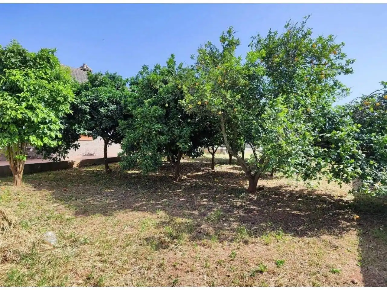 Flat for sale in Chiclana de la Frontera  with Private garden, Swimming Pool and Furnished
