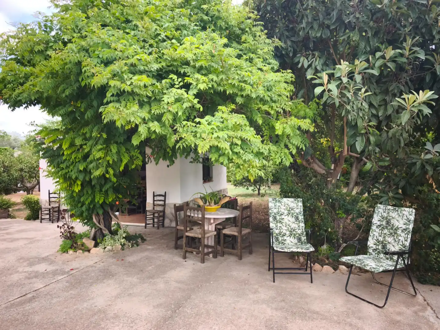 Jardí de Finca rústica en venda en Masdenverge amb Jardí privat, Traster i Moblat