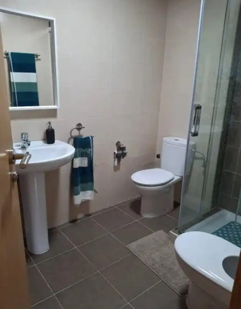 Bathroom of Flat for sale in Valle de Mena  with Heating, Terrace and Furnished