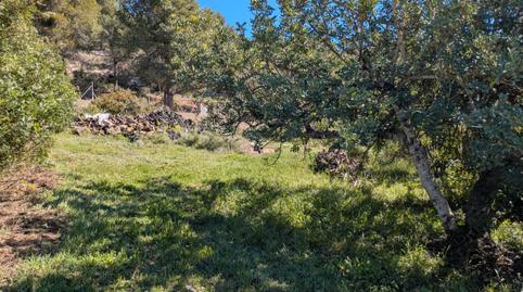 Foto 2 de Residencial en venta en Calle Nueva, 15, Sot de Ferrer, Castellón